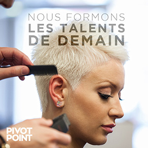imse-web-pivotpoint-300x300px-coupe imse-web-pivotpoint-300x300px-coupe